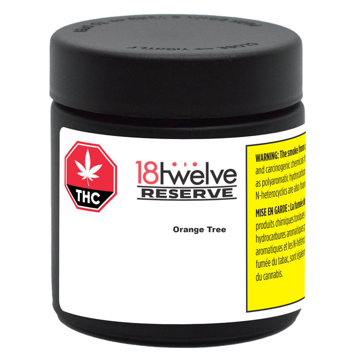 Orange Tree