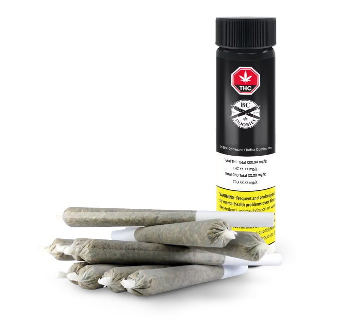 Crash Test Dummy Pre-Rolls