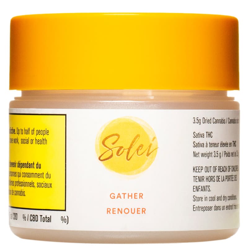 Gather (Jack Herer)