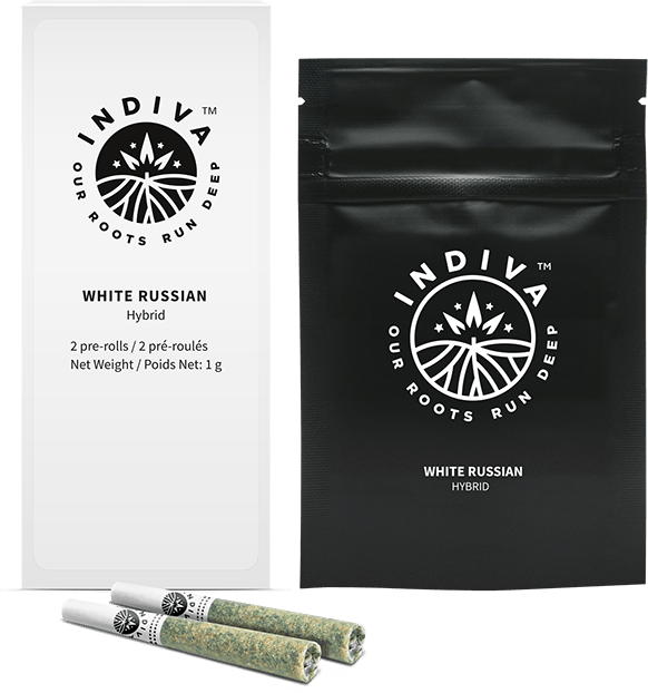 White Russian PreRoll