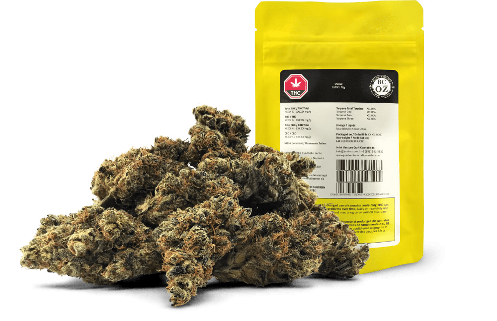 Snow Diesel