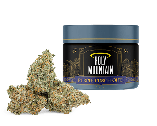 Purple Punch-Out!!