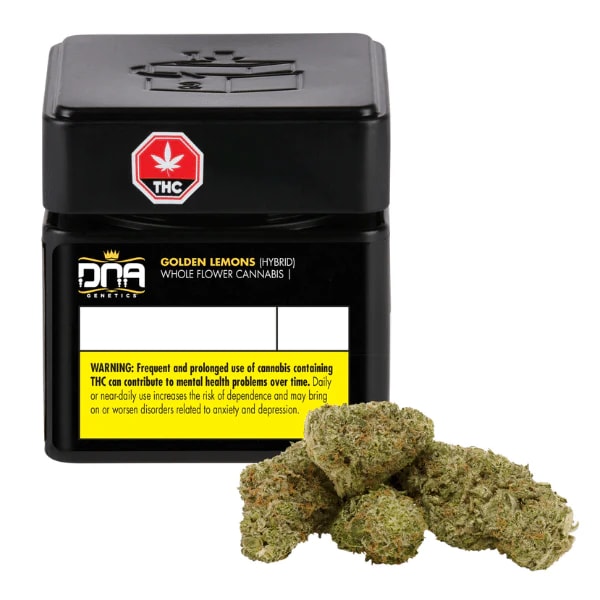 DNA Golden Lemons