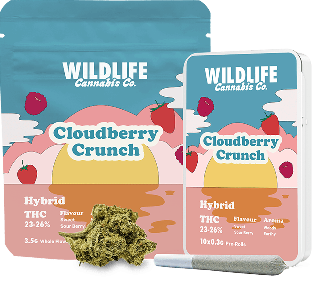 Cloudberry Crunch Pre-Rolls