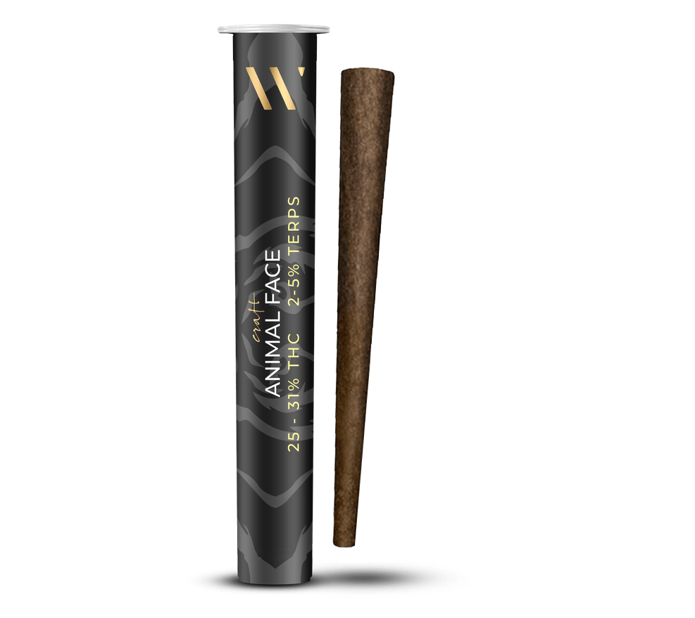 Craft Animal Face Cookies Blunt